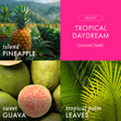 Load image into Gallery viewer, Tropical Daydream 3-Wick Candle
