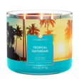 Load image into Gallery viewer, Tropical Daydream 3-Wick Candle
