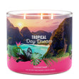 Load image into Gallery viewer, Tropical Daydream 3-Wick Candle
