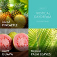 Load image into Gallery viewer, Tropical Daydream Plug-in Refill
