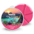 Load image into Gallery viewer, Tropical Daydream Wax Melt
