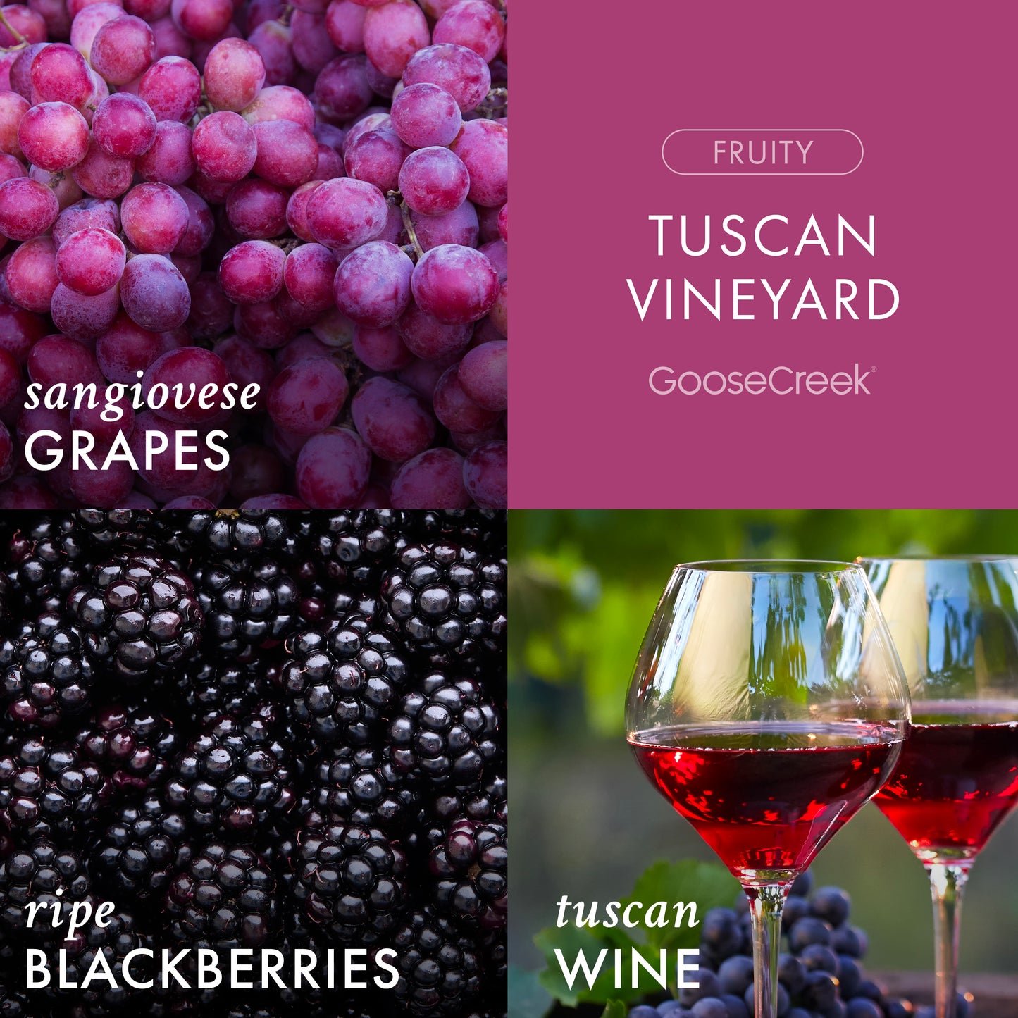 Tuscan Vineyard 3-Wick Candle