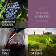 Load image into Gallery viewer, Tuscan Vineyard Plug-in Refill
