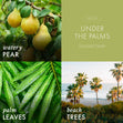 Load image into Gallery viewer, Under the Palms 3-Wick Candle
