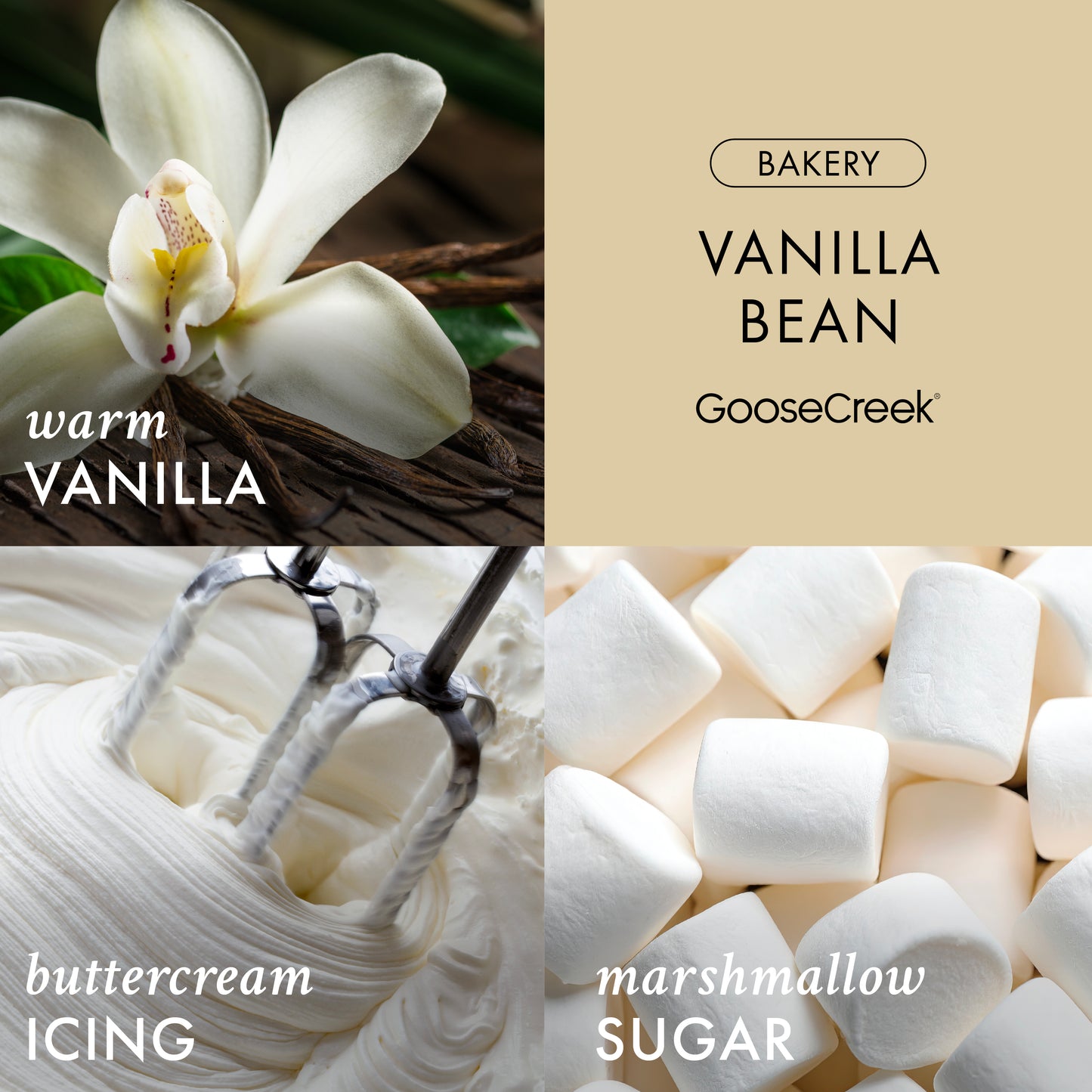 Vanilla Bean 3-Wick Candle