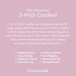 Load image into Gallery viewer, Vanilla Birthday Cake 3-Wick Candle
