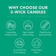 Load image into Gallery viewer, Vanilla Birthday Cake 3-Wick Candle
