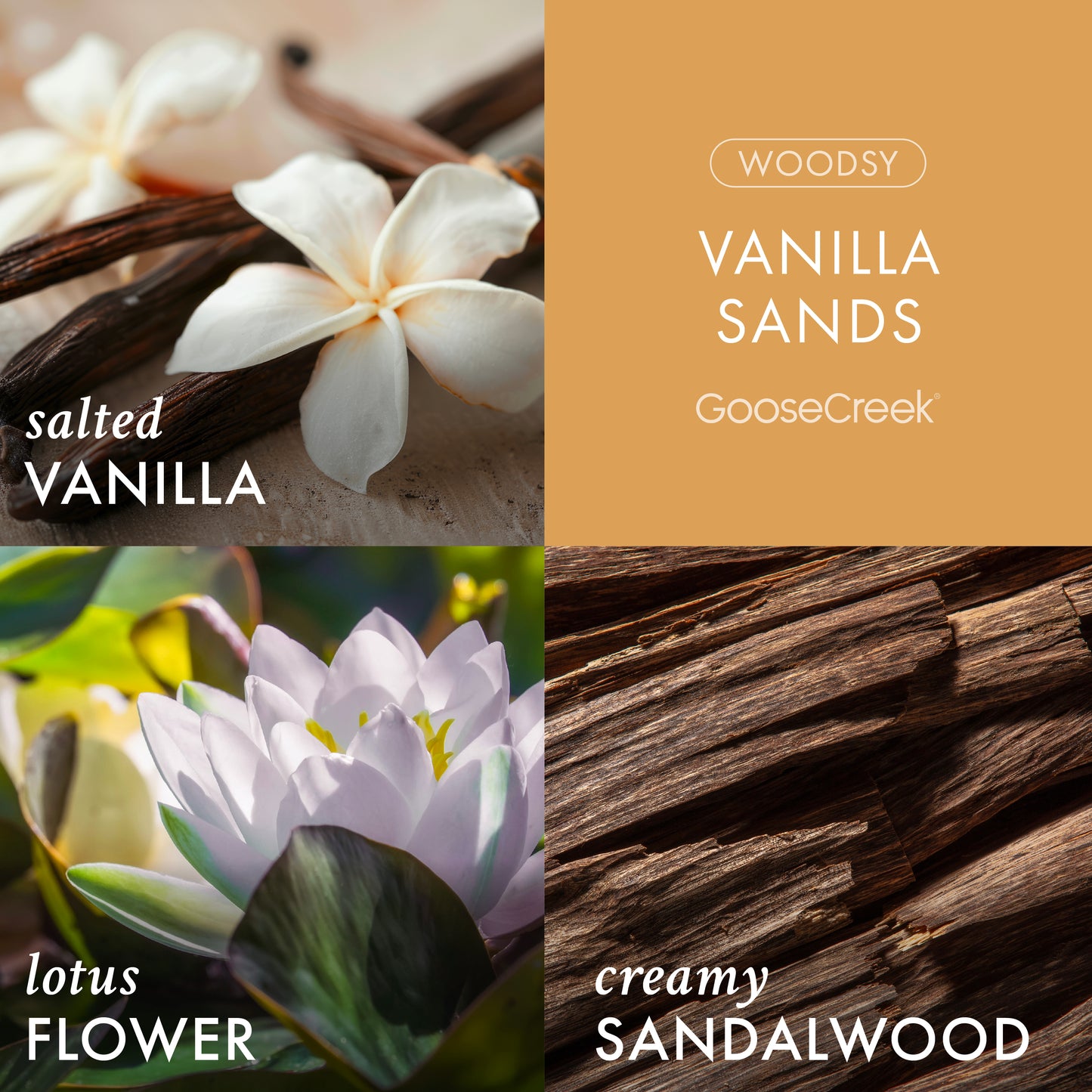 Vanilla Sands 3-Wick Candle
