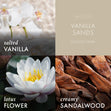 Load image into Gallery viewer, Vanilla Sands Lush Foaming Hand Soap
