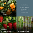 Load image into Gallery viewer, Volcanic Sunrise 7oz Single Wick Candle
