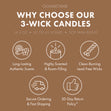 Load image into Gallery viewer, Warm Coconut Sands 3-Wick Candle
