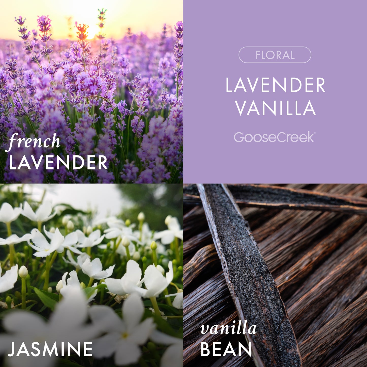 Warm & Cozy Plugin Starter Pack Bundle