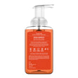 Load image into Gallery viewer, Warm Embrace Lush Foaming Hand Soap
