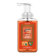 Load image into Gallery viewer, Warm Embrace Lush Foaming Hand Soap
