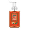 Warm Embrace Lush Foaming Hand Soap