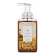 Load image into Gallery viewer, Warm &amp;amp; Welcome Foaming Hand Soap
