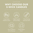Load image into Gallery viewer, Warm &amp;amp; Welcome Odor Eliminating 3-Wick Candle
