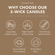 Load image into Gallery viewer, Warm &amp;amp; Welcome Odor Eliminating 3-Wick Candle

