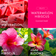 Load image into Gallery viewer, Watermelon Hibiscus 3-Wick Candle
