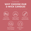 Load image into Gallery viewer, Watermelon Lemonade Odor Eliminating 3-Wick Candle
