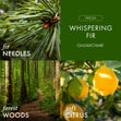 Load image into Gallery viewer, Whispering Fir 3-Wick Candle
