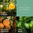 Load image into Gallery viewer, White Basil &amp;amp; Verbena 3-Wick Candle
