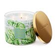 Load image into Gallery viewer, White Basil &amp;amp; Verbena 3-Wick Candle
