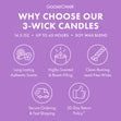 Load image into Gallery viewer, White Icing Cinnamon Roll 3-Wick Candle
