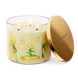 Load image into Gallery viewer, White Picket Honeysuckle 3-Wick Candle

