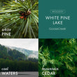 Load image into Gallery viewer, White Pine Lake 3-Wick Candle
