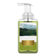 Load image into Gallery viewer, White Pine Lake Foaming Hand Soap
