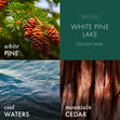 Load image into Gallery viewer, White Pine Lake Plug-in Refill
