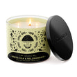 Load image into Gallery viewer, White Tea &amp;amp; Wildberries 3-Wick Candle
