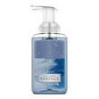 Load image into Gallery viewer, White Water Springs Lush Foaming Hand Soap
