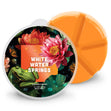 Load image into Gallery viewer, White Water Springs Wax Melt
