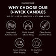 Load image into Gallery viewer, Who Ya Gonna Call? Ghostbusters 3-Wick Candle
