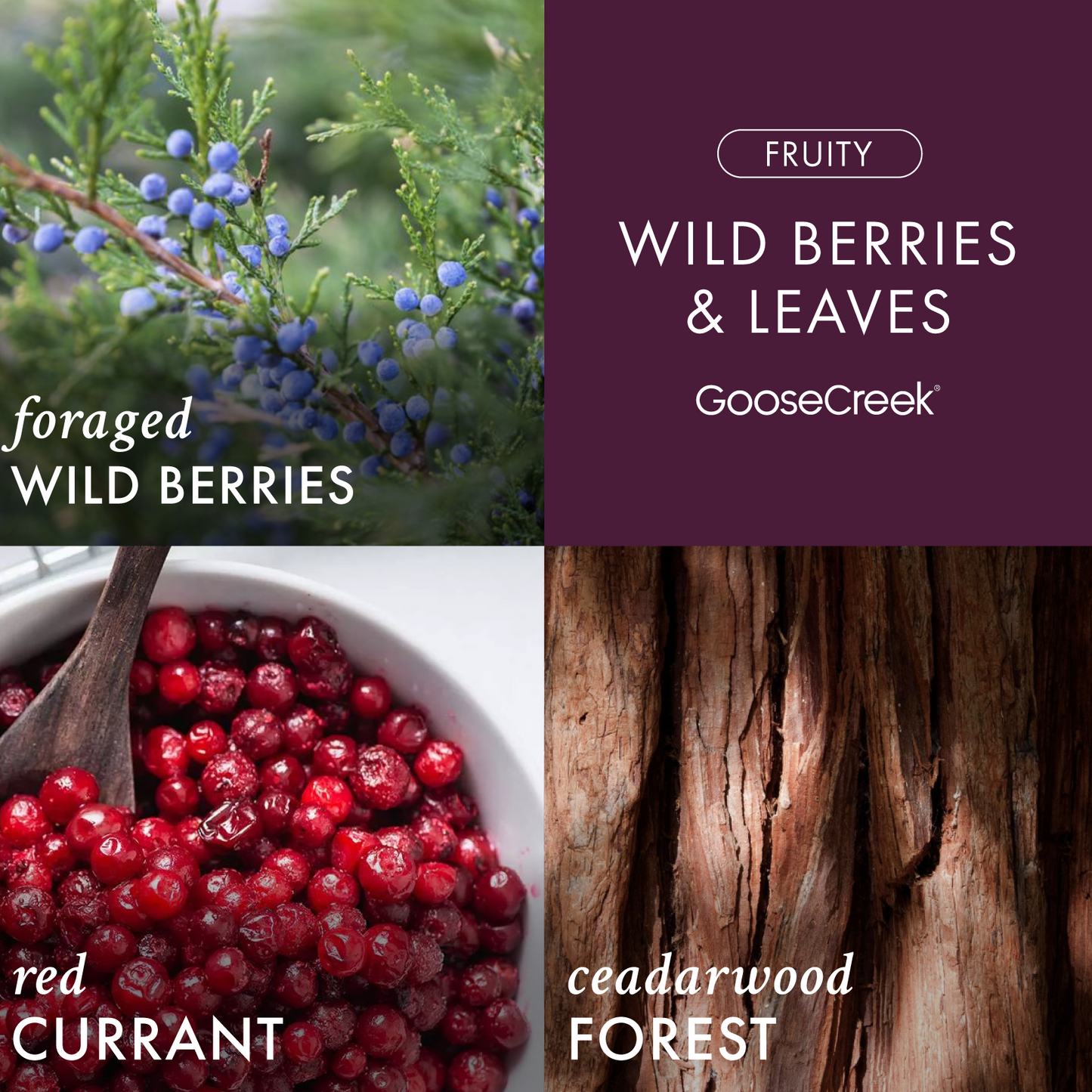 Wild Berries & Leaves 3-Wick Candle