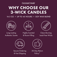 Load image into Gallery viewer, Wild Berries &amp;amp; Leaves 3-Wick Candle
