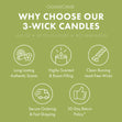 Load image into Gallery viewer, Wild Green Apple Odor Eliminating 3-Wick Candle
