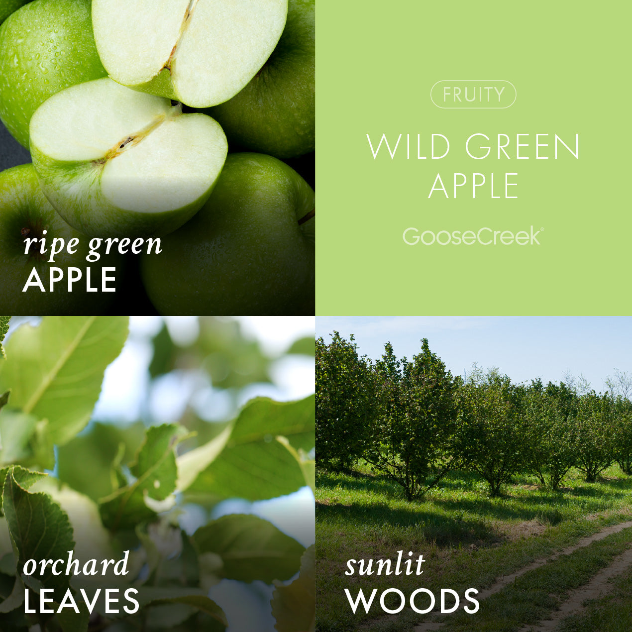 Wild Green Apple Odor Eliminating Wax Melt