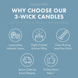 Load image into Gallery viewer, Wild Mint &amp;amp; Birch Aromatherapy 3-Wick Candle
