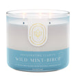 Load image into Gallery viewer, Wild Mint &amp;amp; Birch Aromatherapy 3-Wick Candle
