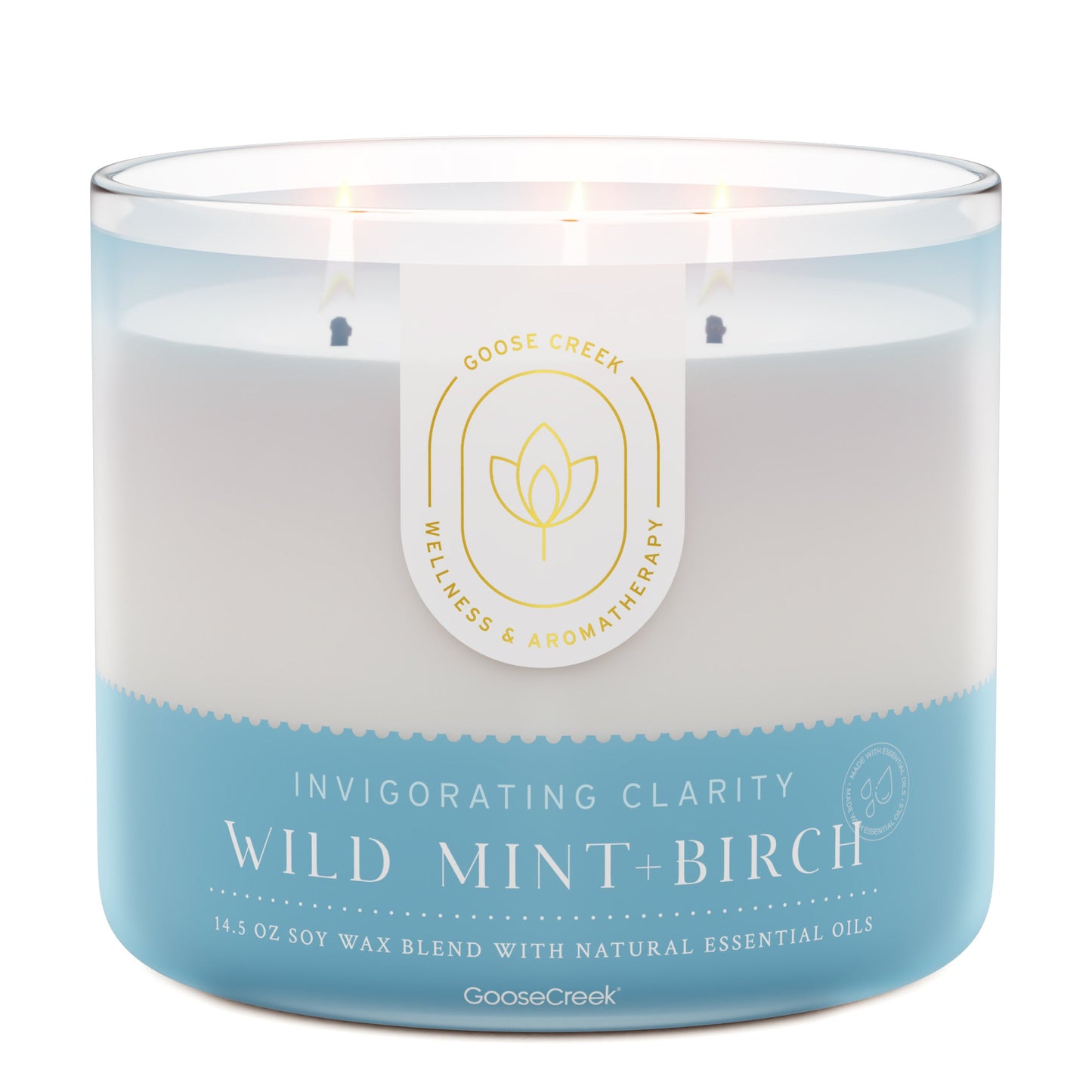 Wild Mint & Birch Aromatherapy 3-Wick Candle