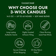 Load image into Gallery viewer, Wilderness Hike 3-Wick Candle
