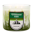 Load image into Gallery viewer, Wilderness Hike 3-Wick Candle
