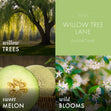 Load image into Gallery viewer, Willow Tree Lane 3-Wick Candle
