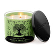 Load image into Gallery viewer, Willow Tree Lane 3-Wick Candle
