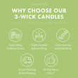 Load image into Gallery viewer, Willow Tree Lane 3-Wick Candle
