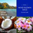 Load image into Gallery viewer, Wind Blown Sails 3-Wick Candle
