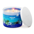 Load image into Gallery viewer, Wind Blown Sails 3-Wick Candle
